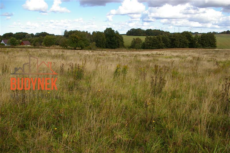 Działka budowlana - Zakrzewo  (14)