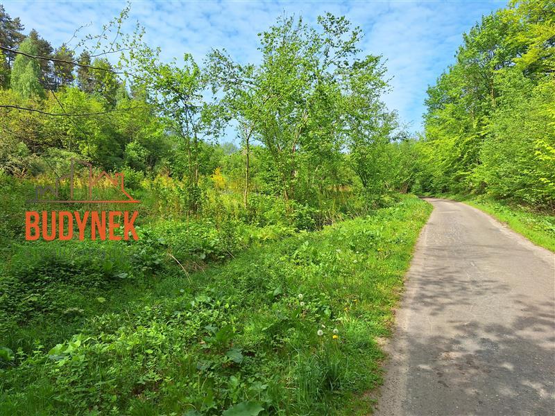 Działka rolna - Paproty  (10)