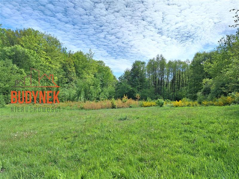 Działka rolna - Paproty  (11)