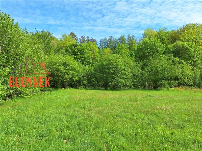 Działka rolna - Paproty  (12)