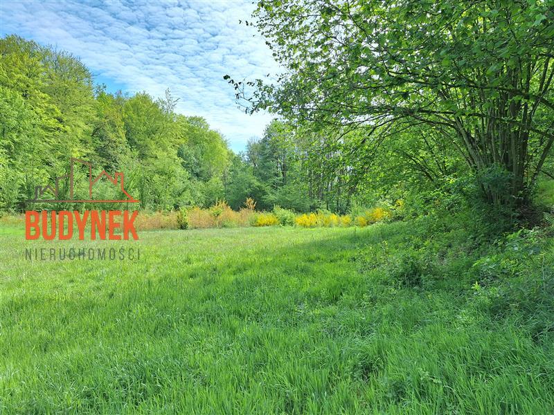 Działka rolna - Paproty  (13)