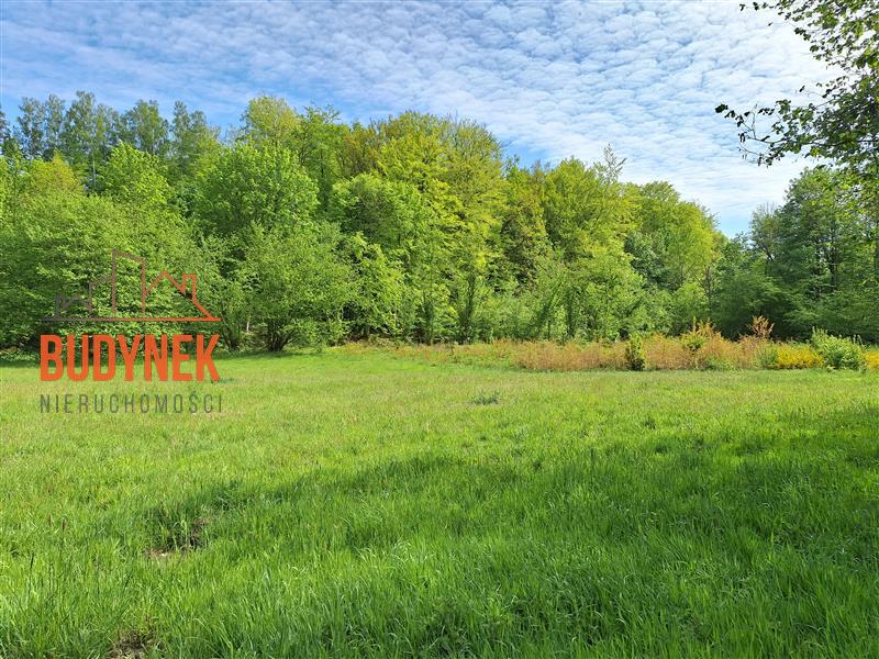 Działka rolna - Paproty  (14)