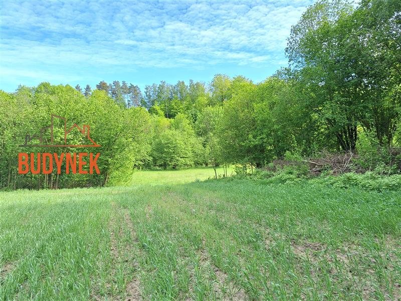 Działka rolna - Paproty  (15)