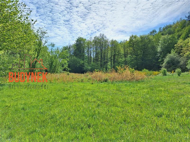 Działka rolna - Paproty  (3)