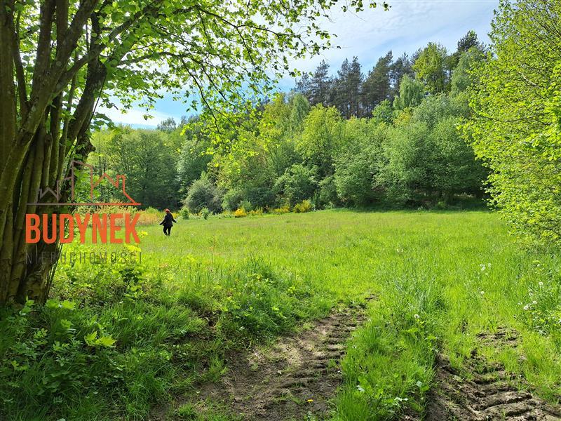 Działka rolna - Paproty  (4)