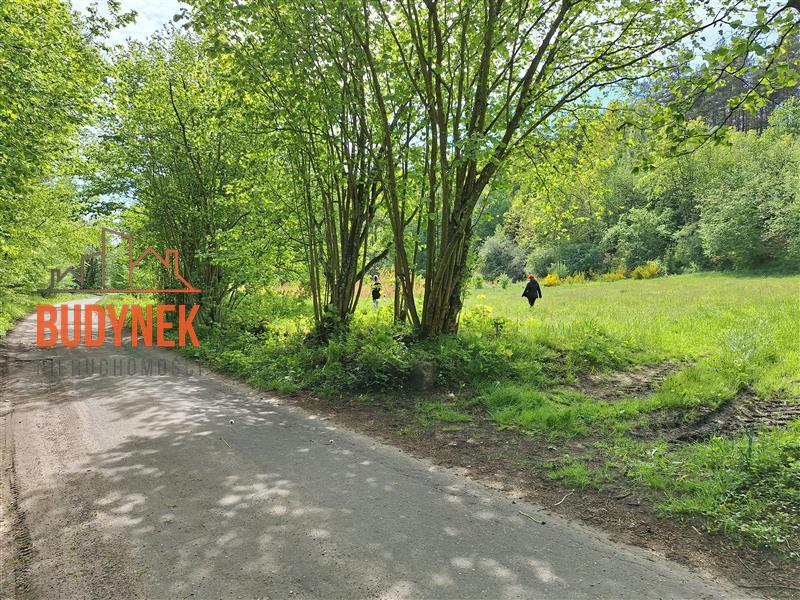 Działka rolna - Paproty  (5)