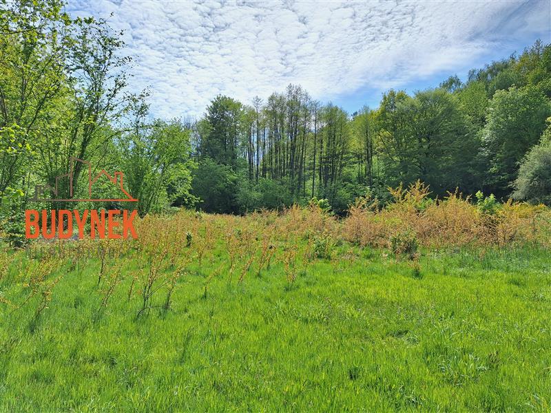 Działka rolna - Paproty  (6)