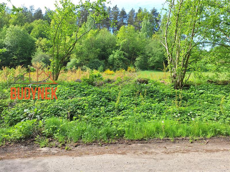 Działka rolna - Paproty  (8)