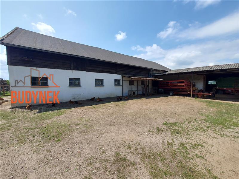 Gospodarstwo rolne - Sławno  (7)