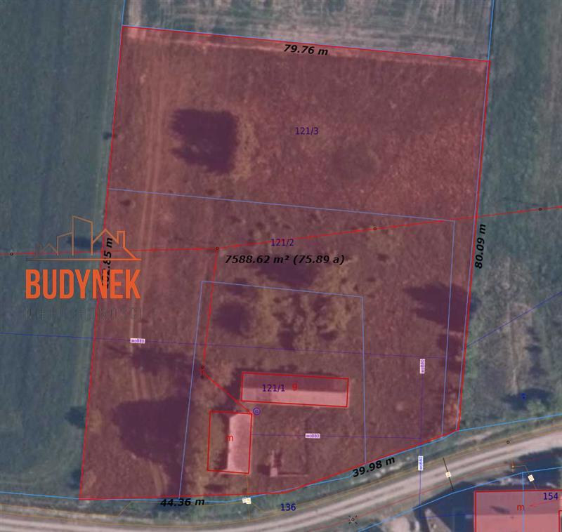 Dom - Kowalewiczki  (14)