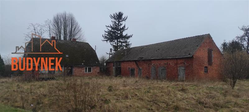 Dom - Kowalewiczki  (5)