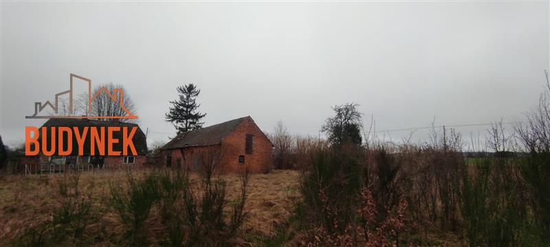 Dom - Kowalewiczki  (7)