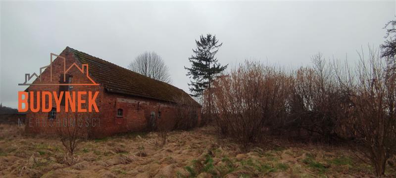 Dom - Kowalewiczki  (9)