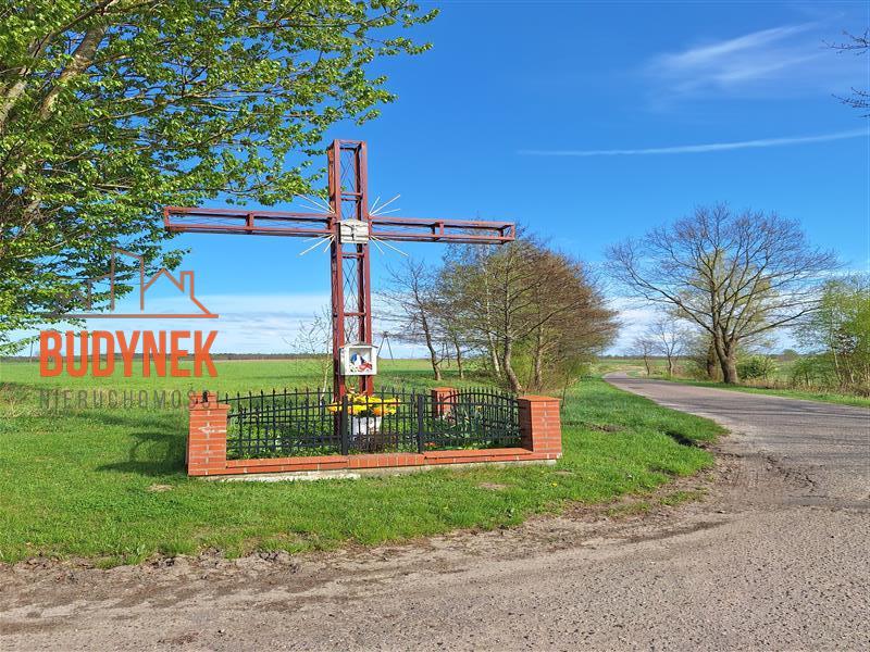 Działka rolna - Zielnowo  (10)