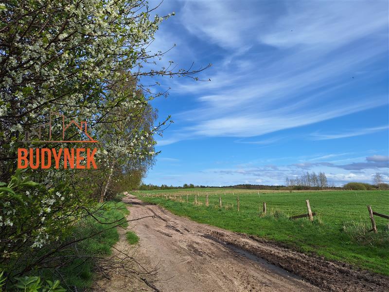 Działka rolna - Zielnowo  (12)