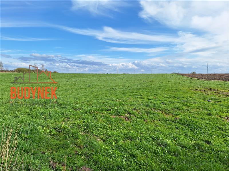 Działka rolna - Zielnowo  (3)