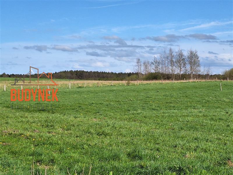 Działka rolna - Zielnowo  (4)