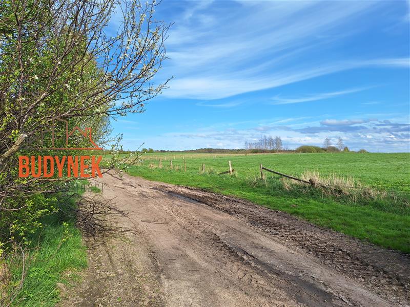 Działka rolna - Zielnowo  (5)