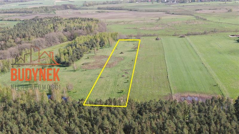 Działka rolna - Zielnowo  (7)