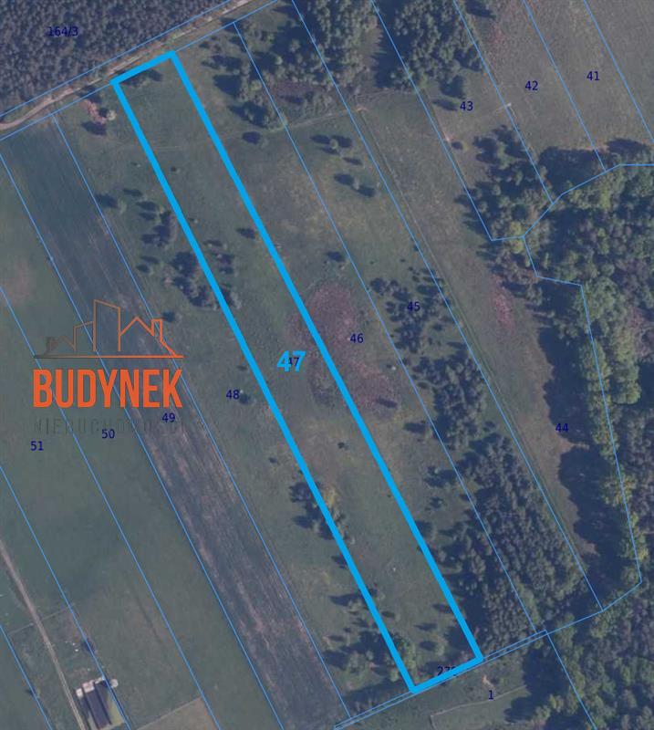 Działka rolna - Zielnowo  (8)