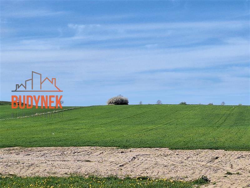 Działka budowlana - Zakrzewo  (4)