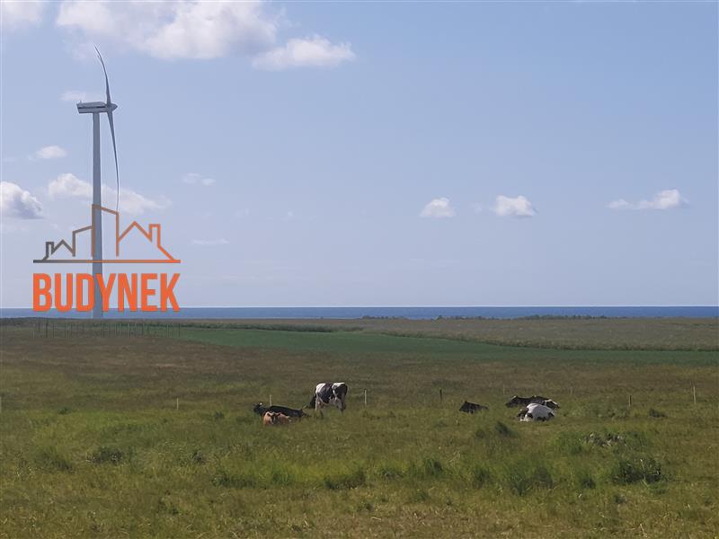 Działka budowlana - Cisowo  (4)