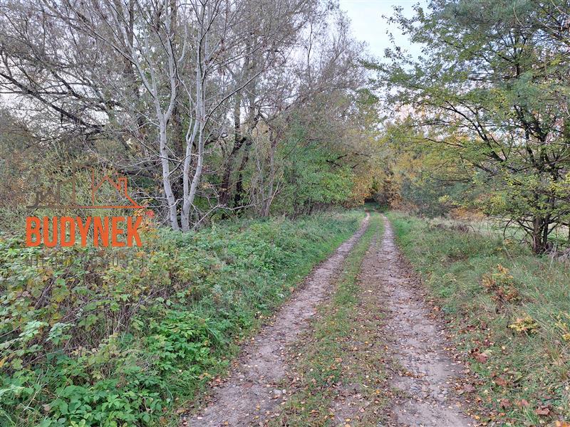 Działka - Masłowice  (11)
