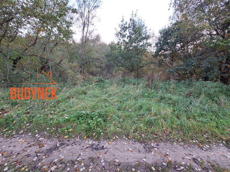 Działka - Masłowice  (12)
