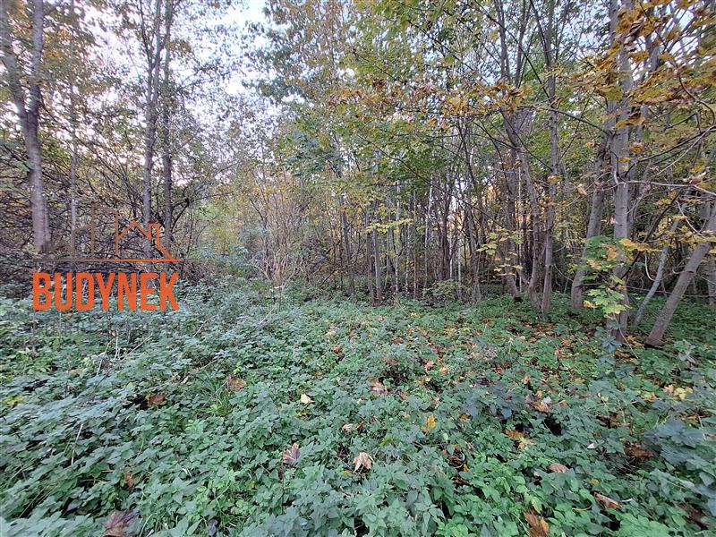 Działka - Masłowice  (14)