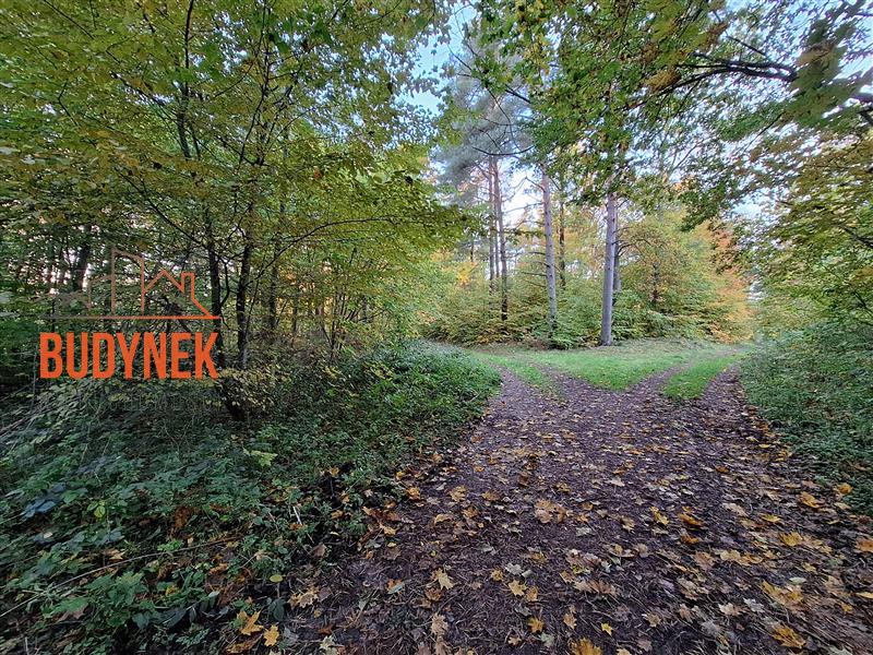 Działka - Masłowice  (15)