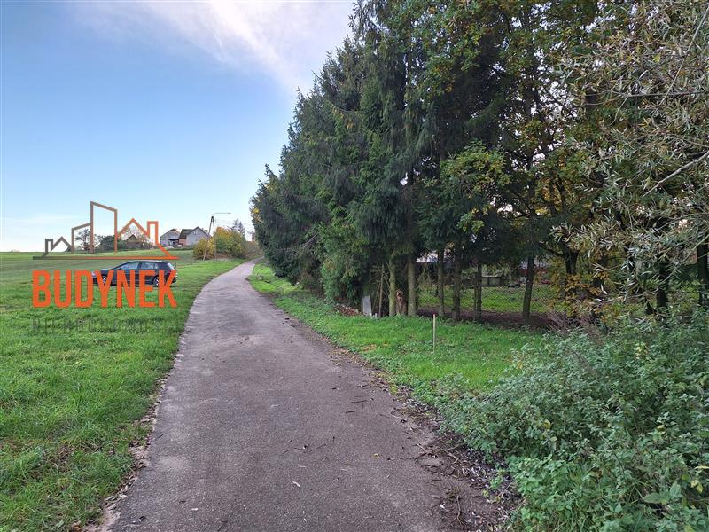 Działka - Masłowice  (6)