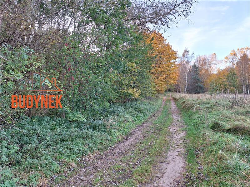 Działka - Masłowice  (7)