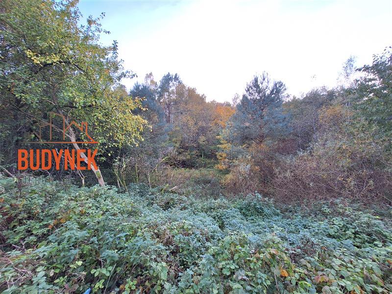 Działka - Masłowice  (9)