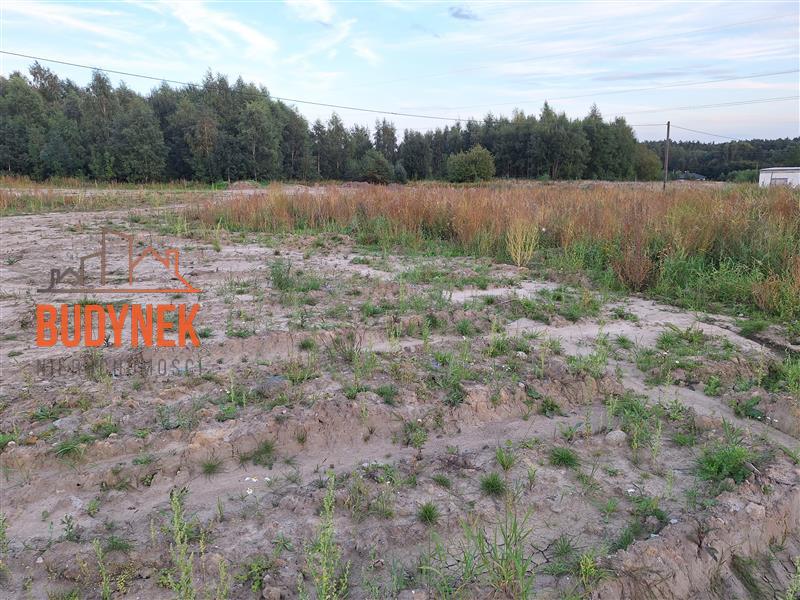 Działka budowlana - Ronino  (3)