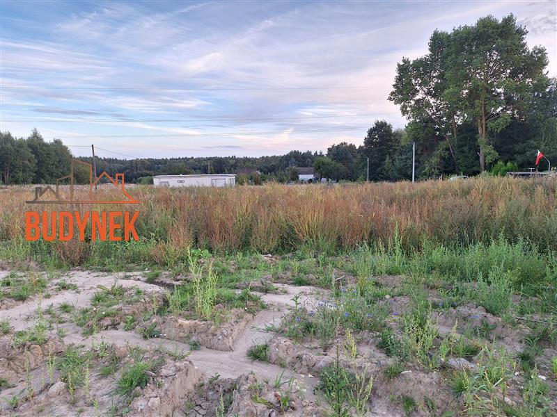 Działka budowlana - Ronino  (4)