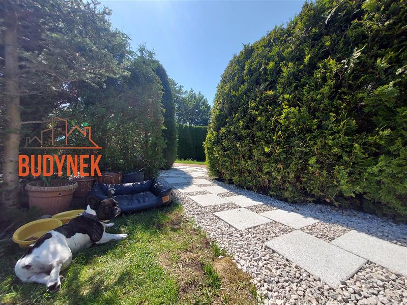 Obiekt - Dąbki  (12)