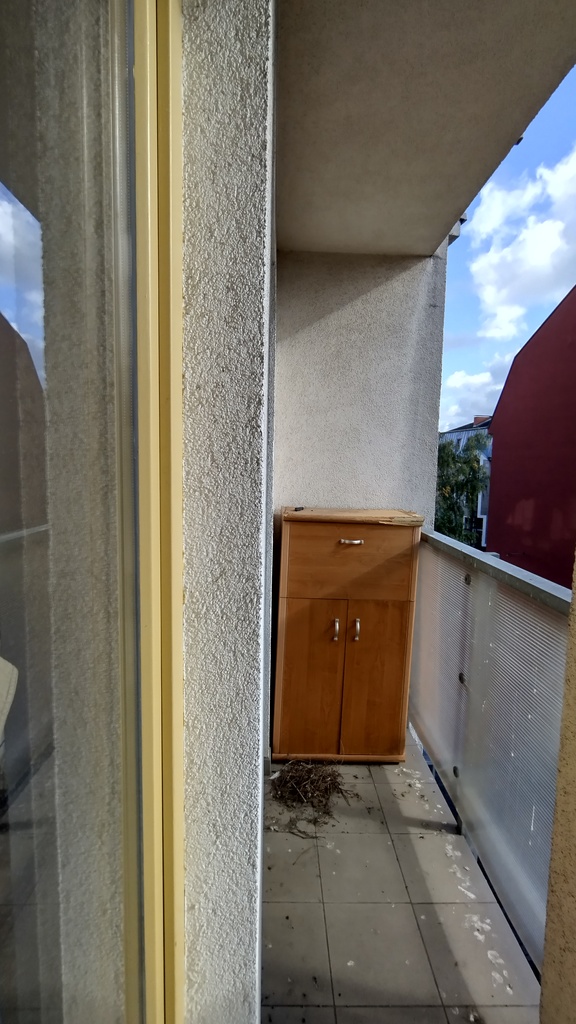 Kawalerka w najlepszej lokalizacji w centrum (6)