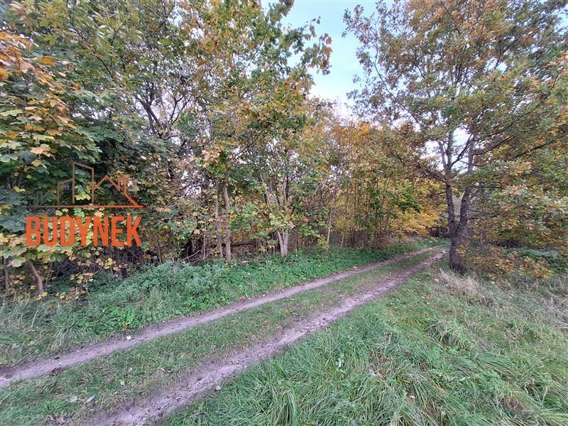 Działka - Masłowice  (12)