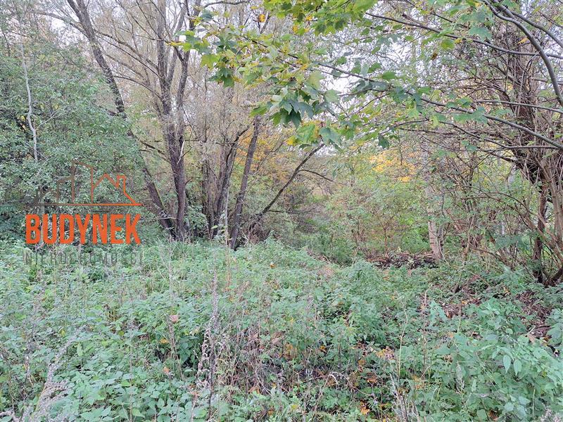 Działka - Masłowice  (2)