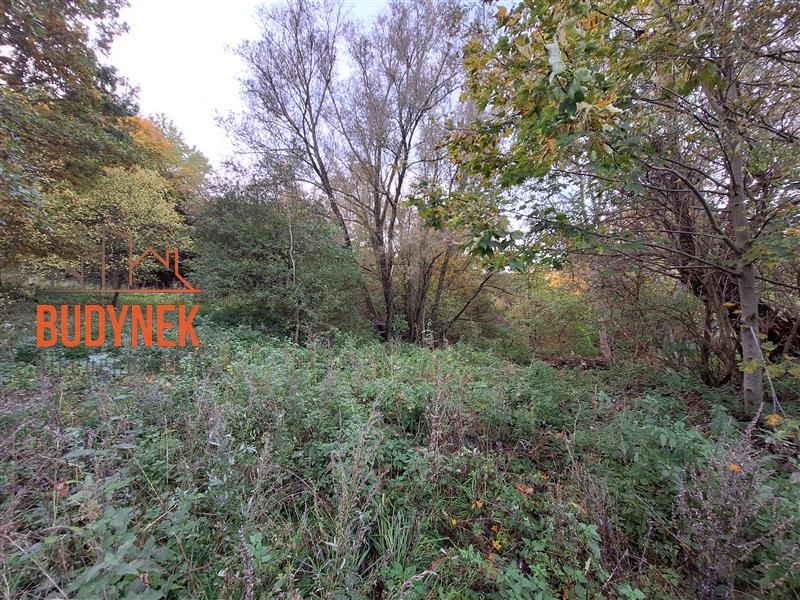 Działka - Masłowice  (3)