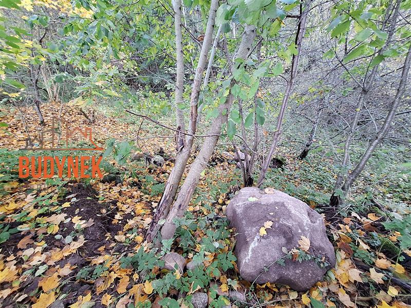 Działka - Masłowice  (7)