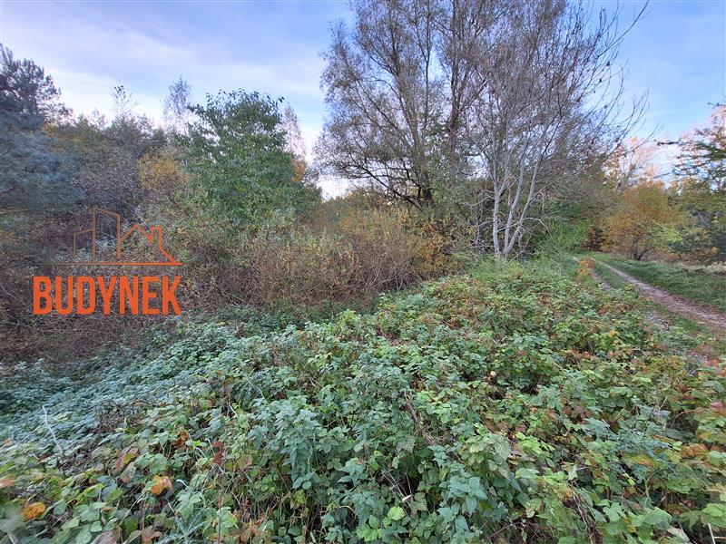 Działka - Masłowice  (9)