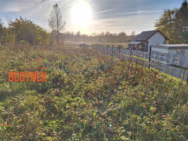 Działka budowlana - Rusinowo  (10)