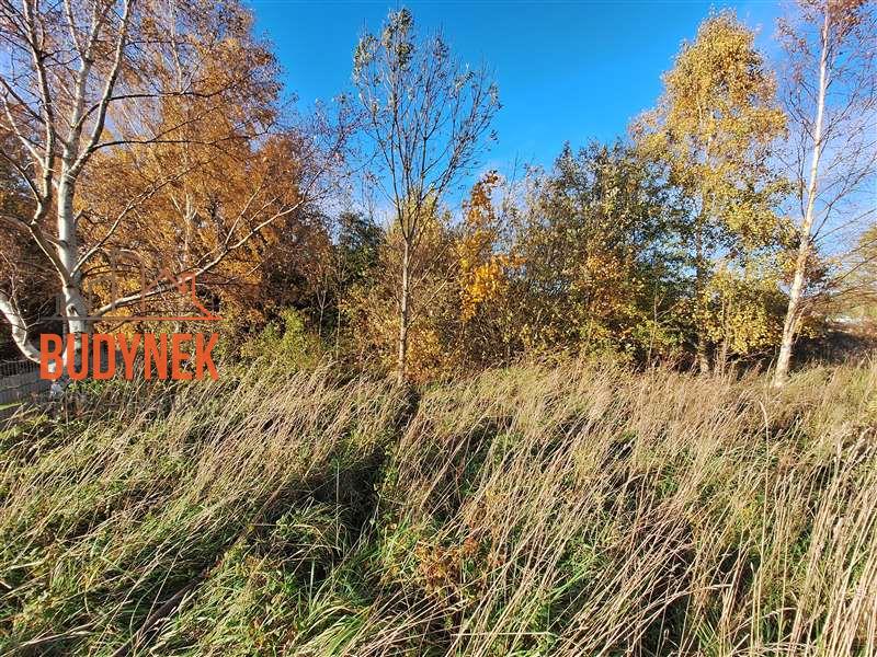 Działka budowlana - Rusinowo  (4)