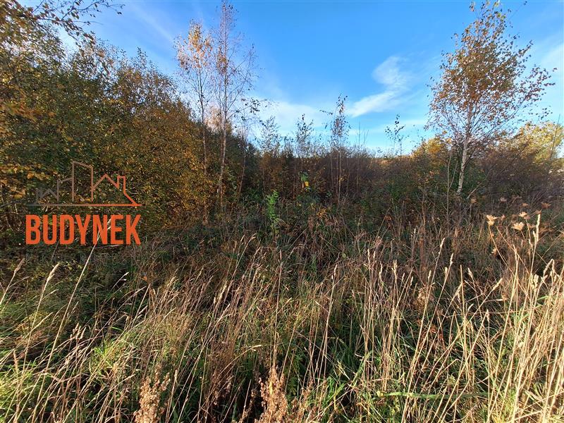Działka budowlana - Rusinowo  (6)