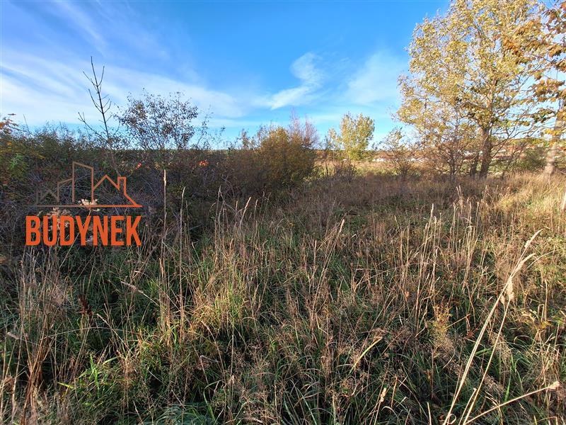 Działka budowlana - Rusinowo  (7)