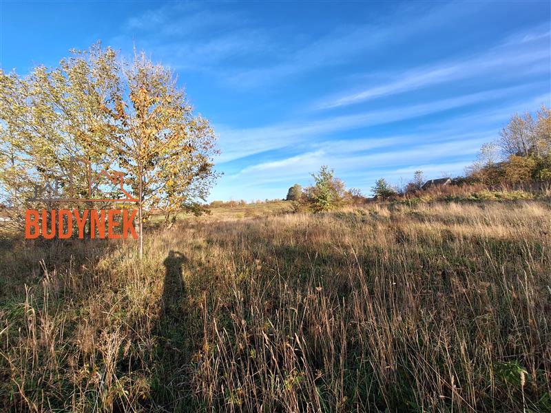 Działka budowlana - Rusinowo  (8)
