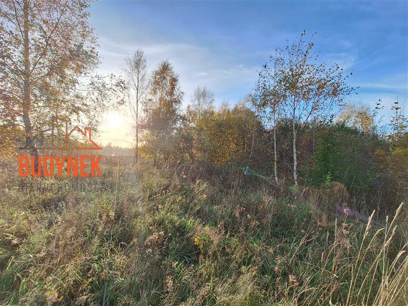 Działka budowlana - Rusinowo  (9)