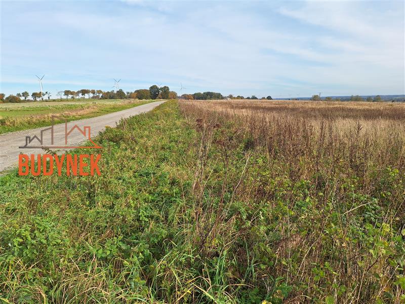 Działka rolna - Kopnica  (10)