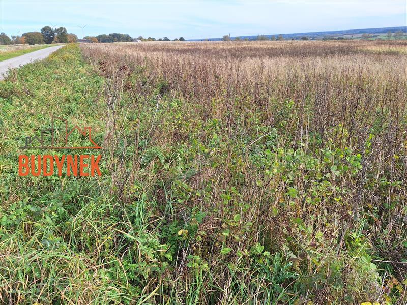 Działka rolna - Kopnica  (11)